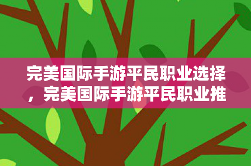 完美国际手游平民职业选择图片
