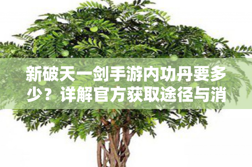 新破天一剑手游内功丹获取与消耗全攻略图片