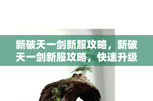 新破天一剑新服攻略图片
