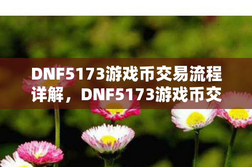 DNF5173游戏币交易流程详解,DNF5173游戏币交易全攻略,从入门到精通 DNF5173游戏币交易流程详解,DNF5173游戏币交易全攻略,从入门到精通