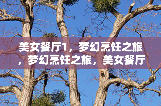 美女餐厅1,梦幻烹饪之旅,梦幻烹饪之旅,美女餐厅1 美女餐厅1,梦幻烹饪之旅,梦幻烹饪之旅,美女餐厅1