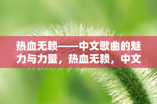 热血无赖——中文歌曲的魅力与力量,热血无赖,中文歌曲的魅力与力量展现 热血无赖——中文歌曲的魅力与力量,热血无赖,中文歌曲的魅力与力量展现