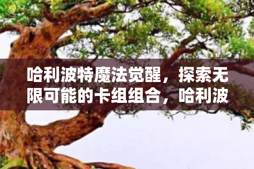 哈利波特魔法觉醒,探索无限可能的卡组组合,哈利波特魔法觉醒,探索无限可能的卡组组合 哈利波特魔法觉醒,探索无限可能的卡组组合,哈利波特魔法觉醒,探索无限可能的卡组组合