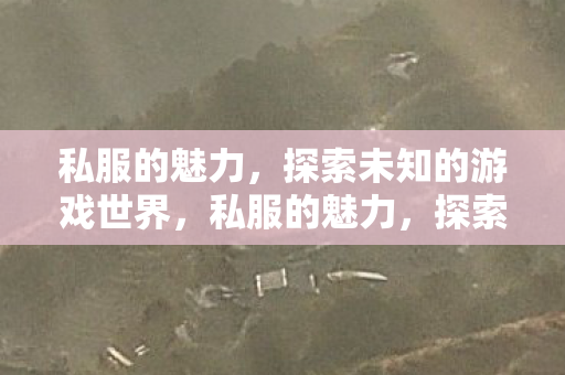 私服的魅力，探索未知的游戏世界，私服的魅力，探索未知的游戏世界
