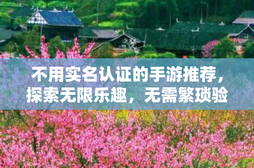 不用实名认证的手游推荐，探索无限乐趣，无需繁琐验证，探索无限乐趣，免实名认证手游推荐