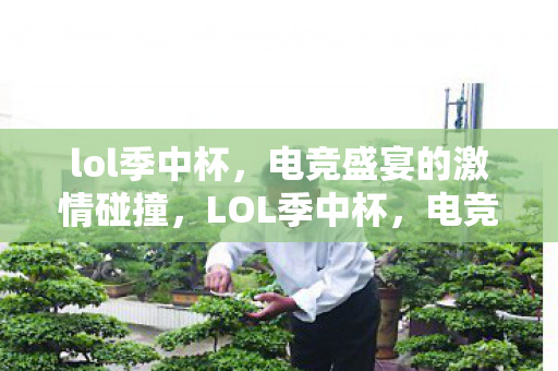lol季中杯，电竞盛宴的激情碰撞，LOL季中杯，电竞盛宴的激情碰撞