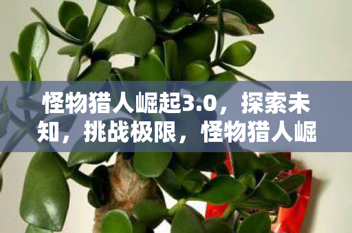 怪物猎人崛起3.0，探索未知，挑战极限，怪物猎人崛起3.0，探索未知，挑战极限的冒险之旅