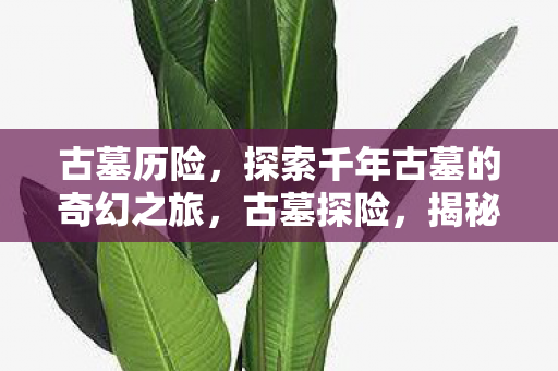 古墓历险,探索千年古墓的奇幻之旅,古墓探险,揭秘千年古墓的奇幻之旅 古墓历险,探索千年古墓的奇幻之旅,古墓探险,揭秘千年古墓的奇幻之旅