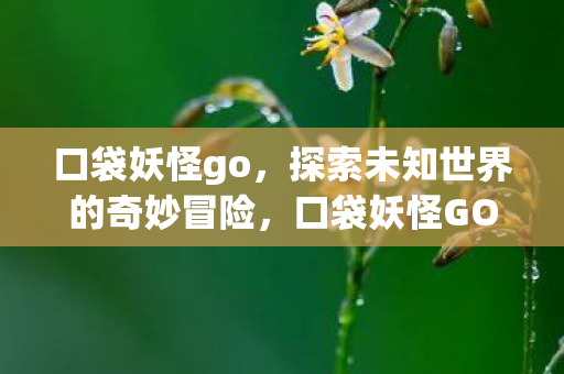 口袋妖怪go,探索未知世界的奇妙冒险,口袋妖怪GO,探索未知世界的奇妙冒险之旅 口袋妖怪go,探索未知世界的奇妙冒险,口袋妖怪GO,探索未知世界的奇妙冒险之旅