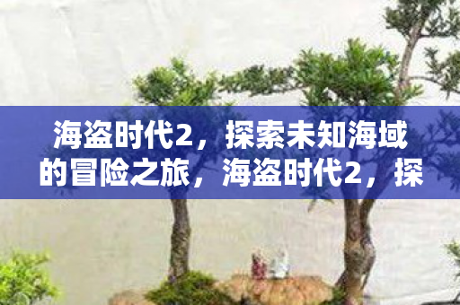 海盗时代2,探索未知海域的冒险之旅,海盗时代2,探索未知海域的冒险之旅 海盗时代2,探索未知海域的冒险之旅,海盗时代2,探索未知海域的冒险之旅