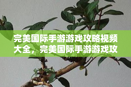 完美国际手游游戏攻略视频大全,完美国际手游游戏攻略视频全解析 完美国际手游游戏攻略视频大全,完美国际手游游戏攻略视频全解析