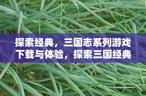 探索经典,三国志系列游戏下载与体验,探索三国经典,三国志系列游戏下载与体验 探索经典,三国志系列游戏下载与体验,探索三国经典,三国志系列游戏下载与体验