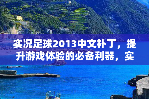 实况足球2013中文补丁图片