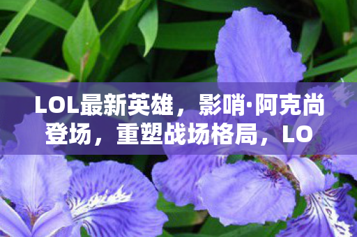 LOL最新英雄,影哨·阿克尚登场,重塑战场格局,LOL新英雄影哨·阿克尚登场,重塑战场格局 LOL最新英雄,影哨·阿克尚登场,重塑战场格局,LOL新英雄影哨·阿克尚登场,重塑战场格局