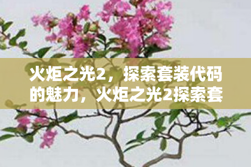 火炬之光2探索套装代码的魅力图片