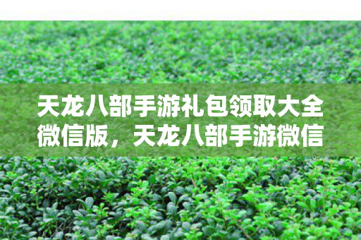 天龙八部手游微信版礼包领取全攻略图片