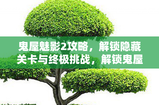 鬼屋魅影2攻略,解锁隐藏关卡与终极挑战,解锁鬼屋魅影2隐藏关卡与终极挑战攻略 鬼屋魅影2攻略,解锁隐藏关卡与终极挑战,解锁鬼屋魅影2隐藏关卡与终极挑战攻略