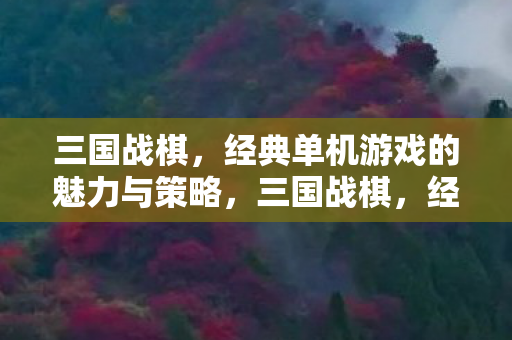 三国战棋，经典单机游戏的魅力与策略，三国战棋，经典单机游戏的策略与魅力