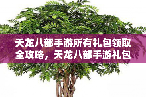 天龙八部手游所有礼包领取全攻略，天龙八部手游礼包领取全攻略