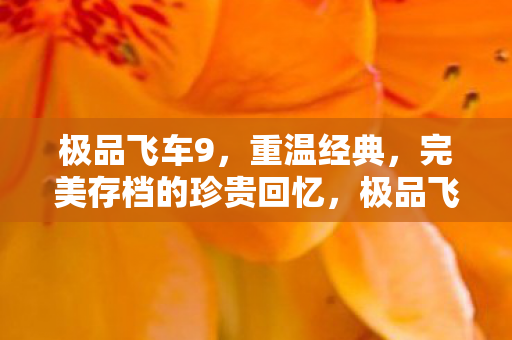 极品飞车9,重温经典,完美存档的珍贵回忆,极品飞车9,重温经典,珍贵回忆的完美存档 极品飞车9,重温经典,完美存档的珍贵回忆,极品飞车9,重温经典,珍贵回忆的完美存档