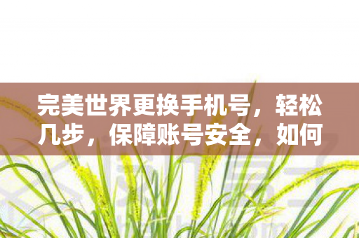 完美世界更换手机号，轻松几步，保障账号安全，如何更换完美世界手机号？轻松几步，保障账号安全