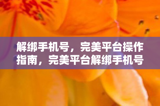 解绑手机号,完美平台操作指南,完美平台解绑手机号操作指南 解绑手机号,完美平台操作指南,完美平台解绑手机号操作指南