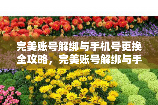 完美账号解绑与手机号更换全攻略,完美账号解绑与手机号更换全攻略 完美账号解绑与手机号更换全攻略,完美账号解绑与手机号更换全攻略