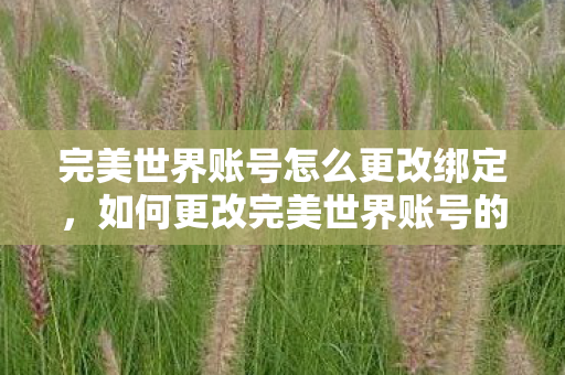 完美世界账号怎么更改绑定,如何更改完美世界账号的绑定信息? 完美世界账号怎么更改绑定,如何更改完美世界账号的绑定信息?