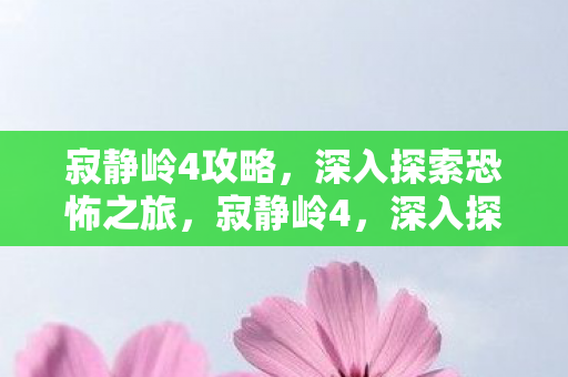寂静岭4攻略，深入探索恐怖之旅，寂静岭4，深入探索恐怖之旅的攻略指南