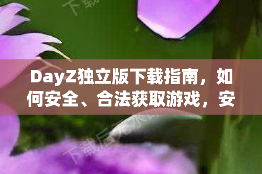 DayZ独立版下载指南,如何安全、合法获取游戏,安全合法获取DayZ独立版的下载指南 DayZ独立版下载指南,如何安全、合法获取游戏,安全合法获取DayZ独立版的下载指南