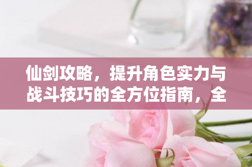 仙剑攻略,提升角色实力与战斗技巧的全方位指南,全方位提升仙剑角色实力与战斗技巧攻略 仙剑攻略,提升角色实力与战斗技巧的全方位指南,全方位提升仙剑角色实力与战斗技巧攻略