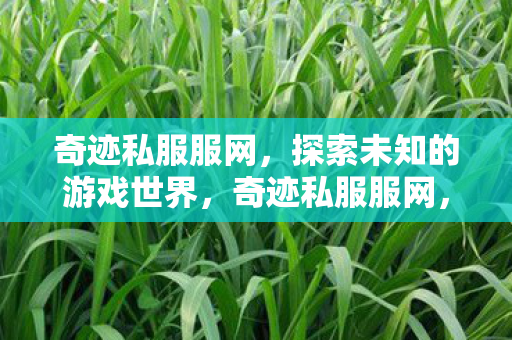 奇迹私服服网,探索未知的游戏世界,奇迹私服服网,探索未知的游戏世界之旅 奇迹私服服网,探索未知的游戏世界,奇迹私服服网,探索未知的游戏世界之旅