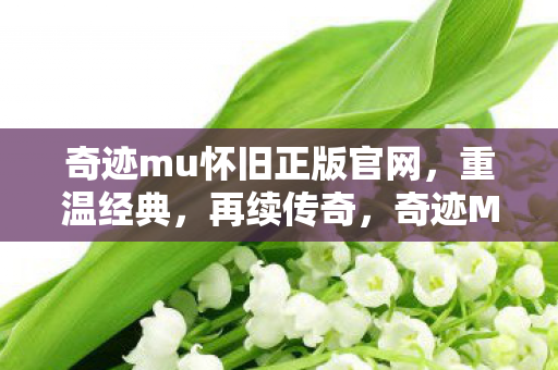 奇迹mu怀旧正版官网,重温经典,再续传奇,奇迹MU怀旧正版官网,重温经典,再续传奇之旅 奇迹mu怀旧正版官网,重温经典,再续传奇,奇迹MU怀旧正版官网,重温经典,再续传奇之旅