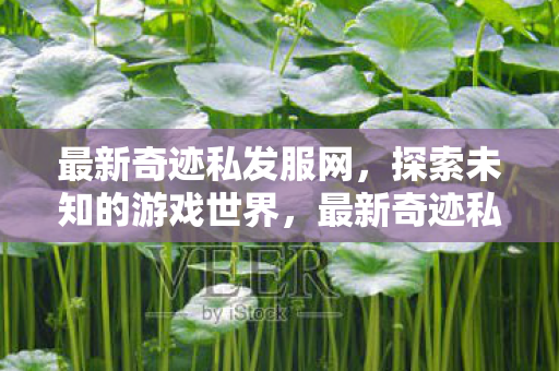 最新奇迹私发服网,探索未知的游戏世界,最新奇迹私发服网,探索未知游戏世界的奇妙之旅 最新奇迹私发服网,探索未知的游戏世界,最新奇迹私发服网,探索未知游戏世界的奇妙之旅