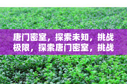 唐门密室,探索未知,挑战极限,探索唐门密室,挑战未知与极限 唐门密室,探索未知,挑战极限,探索唐门密室,挑战未知与极限