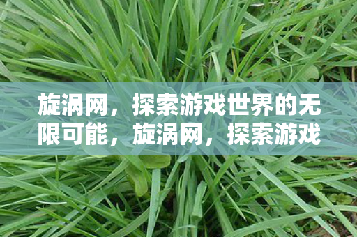 旋涡网，探索游戏世界的无限可能，旋涡网，探索游戏世界的无限可能