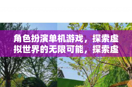 角色扮演单机游戏，探索虚拟世界的无限可能，探索虚拟世界的无限可能，角色扮演单机游戏