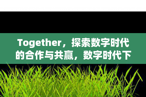 Together，探索数字时代的合作与共赢，数字时代下的合作与共赢之路