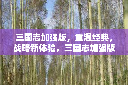 三国志加强版,重温经典,战略新体验,三国志加强版,重温经典战略,体验全新玩法 三国志加强版,重温经典,战略新体验,三国志加强版,重温经典战略,体验全新玩法