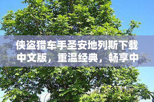 侠盗猎车手圣安地列斯下载中文版图片
