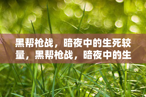 黑帮枪战,暗夜中的生死较量,黑帮枪战,暗夜中的生死较量 黑帮枪战,暗夜中的生死较量,黑帮枪战,暗夜中的生死较量