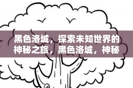 黑色洛城，探索未知世界的神秘之旅，黑色洛城，神秘之旅探索未知世界