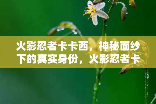 火影忍者卡卡西,神秘面纱下的真实身份,火影忍者卡卡西,神秘面纱下的真实身份揭晓! 火影忍者卡卡西,神秘面纱下的真实身份,火影忍者卡卡西,神秘面纱下的真实身份揭晓!