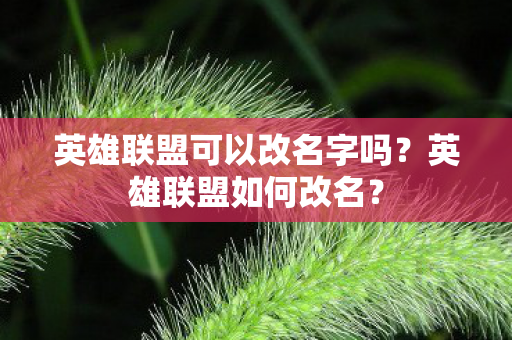 英雄联盟可以改名字吗?英雄联盟如何改名? 英雄联盟可以改名字吗?英雄联盟如何改名?