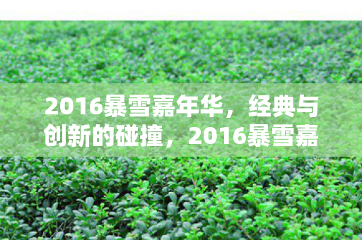 2016暴雪嘉年华,经典与创新的碰撞,2016暴雪嘉年华,经典与创新激情碰撞 2016暴雪嘉年华,经典与创新的碰撞,2016暴雪嘉年华,经典与创新激情碰撞