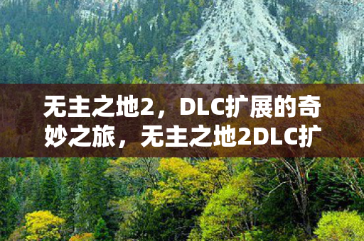 无主之地2，DLC扩展的奇妙之旅，无主之地2DLC扩展，奇妙之旅开启
