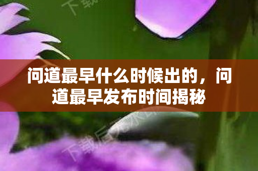 问道最早什么时候出的图片