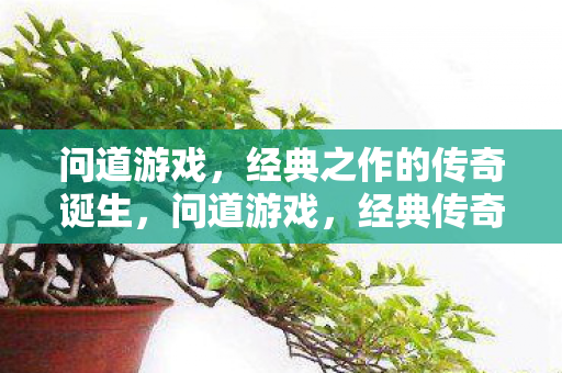 经典之作的传奇诞生图片