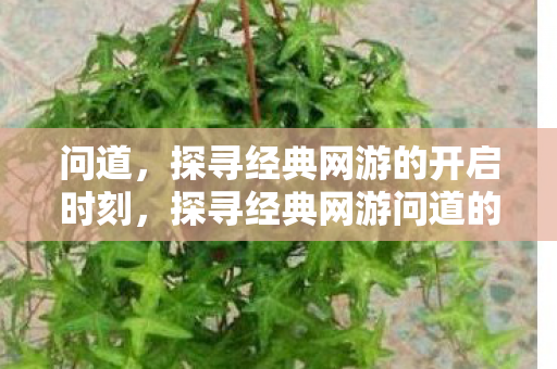 探寻经典网游问道的开启时刻图片
