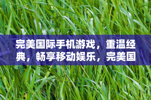 完美国际手机游戏,重温经典,畅享移动娱乐,完美国际手游,重温经典,畅享移动娱乐盛宴 完美国际手机游戏,重温经典,畅享移动娱乐,完美国际手游,重温经典,畅享移动娱乐盛宴